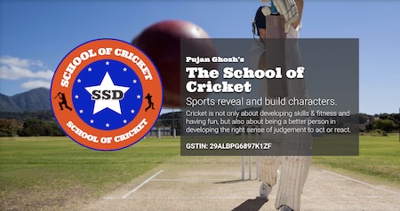 The School of Cricket - Consulting for Small Business
